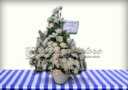 IMG-PRODUCT